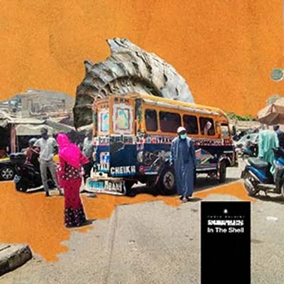 Paolo Baldini DubFiles - In The Shell (La Tempesta Dischi)