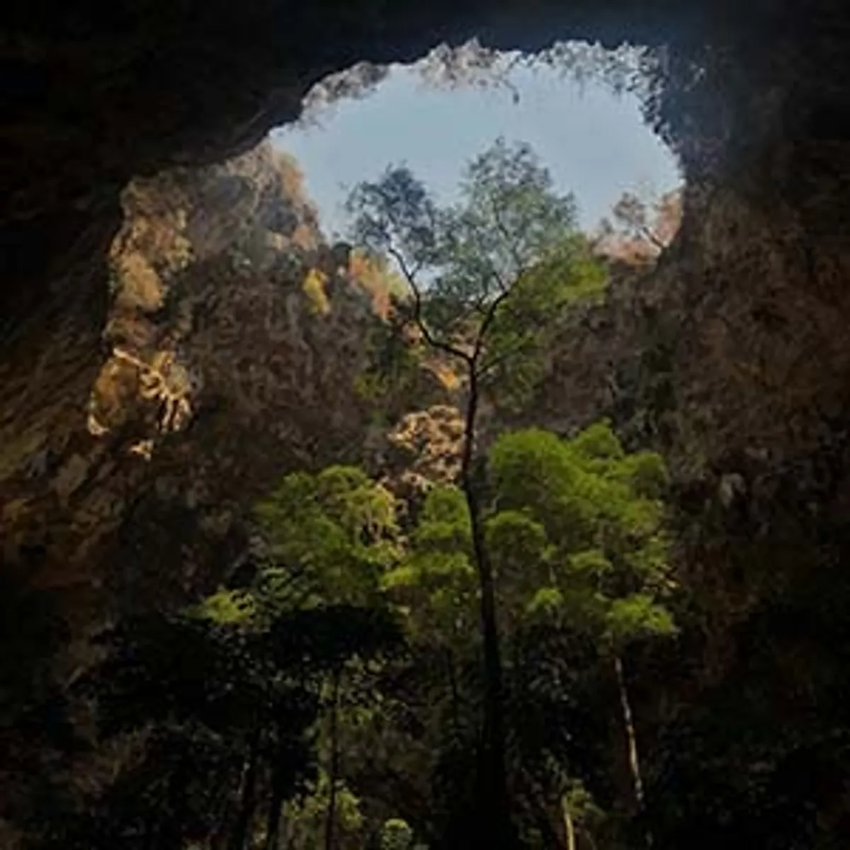 Slim Jim From The Donjon - The Lost Island (Hologram Records)