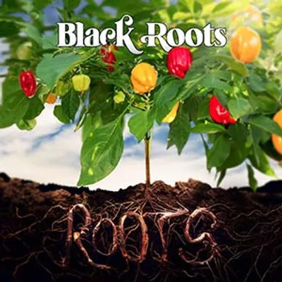 Black Roots - Roots (Nubian Records)