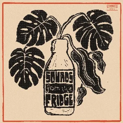 The Co-Operators - Sounds From The Fridge (Waggle Dance Records)