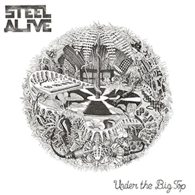 Steel Alive - Under The Big Top EP (Bass Cookers)