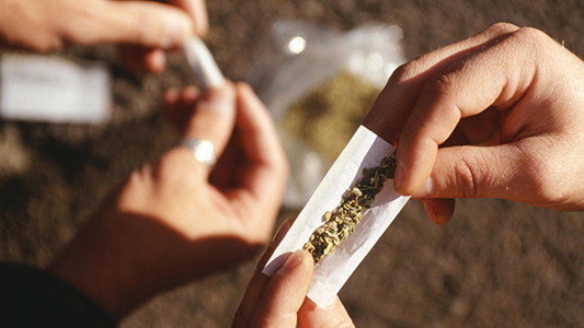 De zomer van de blower