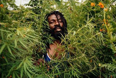 Joseph 'Culture' Hill dead & gone