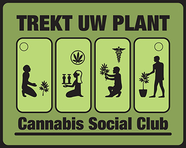 Stijn Bex (Spirit): "Trekt Uw Plant gaat op een verstandige manier met cannabis om."