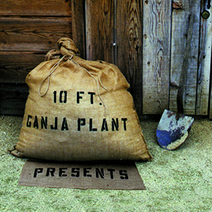 10 Ft. Ganja Plant - Presents + Bass Chalice (Roir/Bertus)