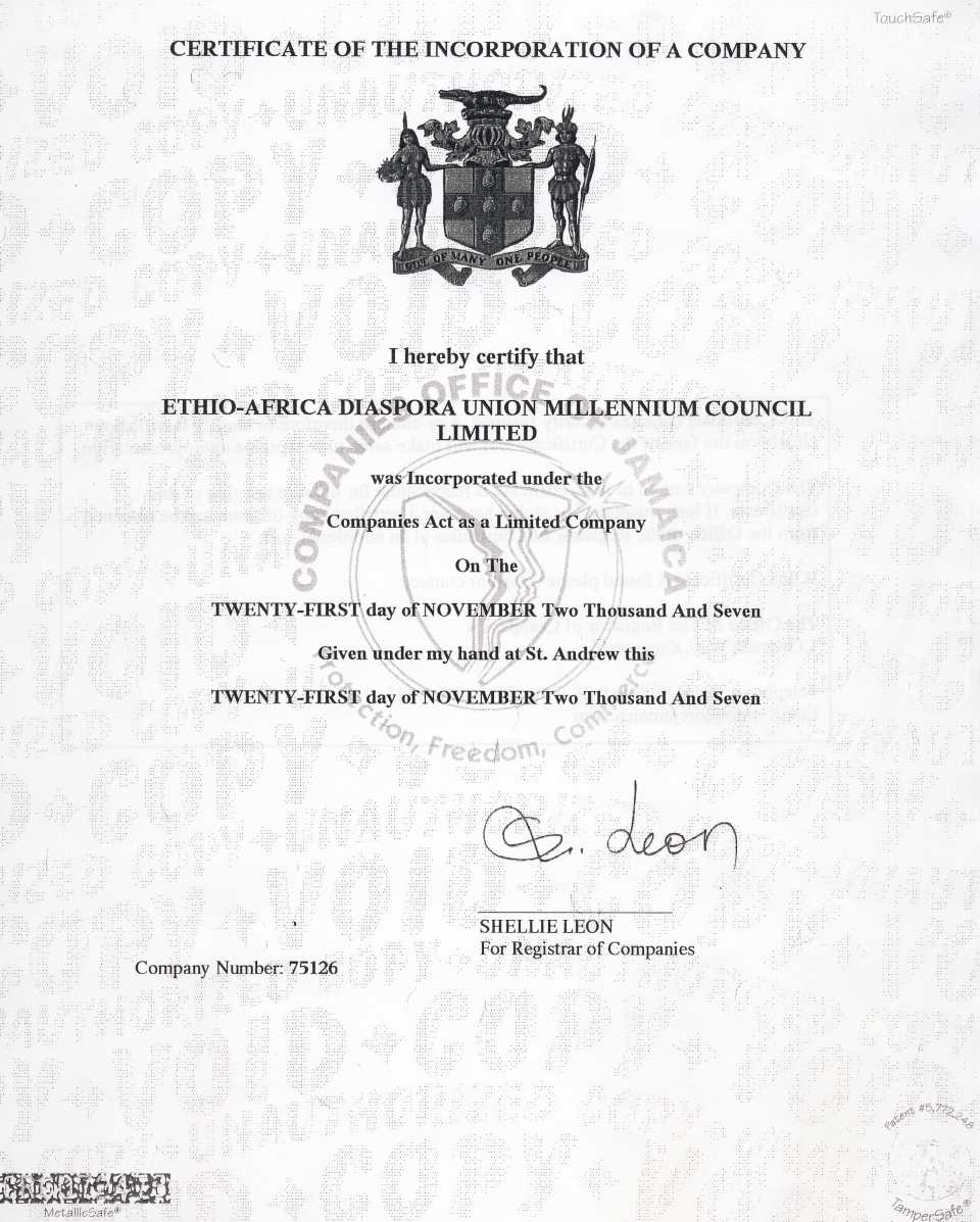 The Ethio-African Diaspora Union Millennium Council (EADUMC)