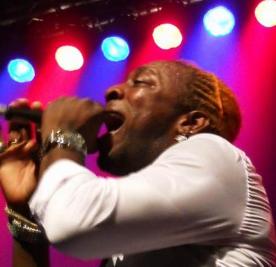 Mr. Elephant vs Mr. Murphy 