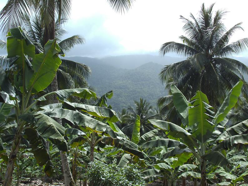 Long Bay to Westmoreland: Jamaica nice! (Part 2)