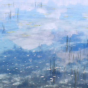 AMJ Collective meets RSD - Sky Blue Love (Astar)