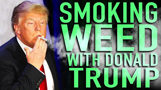 Historische verkiezingen in de VS: cannabis nu legaal in 7 staten, mediwiet in 29