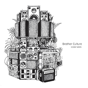 Brother Culture - Code Name (Evidence Music)