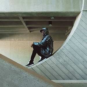 Busy Signal - Parts Of The Puzzle (VP Records)