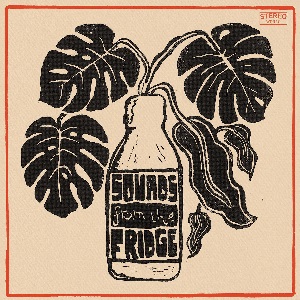 The Co-Operators - Sounds From The Fridge (Waggle Dance Records)