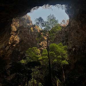 Slim Jim From The Donjon - The Lost Island (Hologram Records)